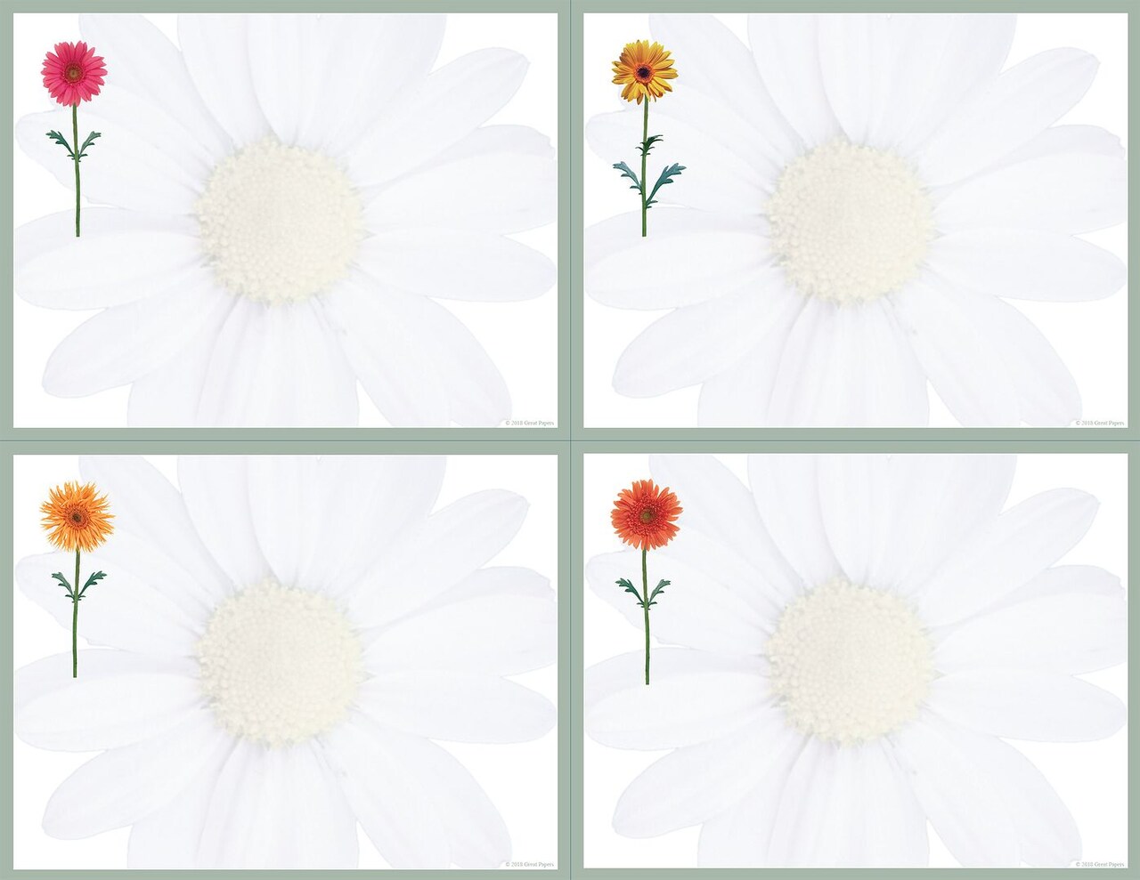 Great Papers! Postcards, 4-Up, Daisies, 10 Micro-Perforated, 10 sheets 8.5" x 11"/4 cards per sheet 4.25" x 5.5", Printer Friendly, 10 sheets/40 cards